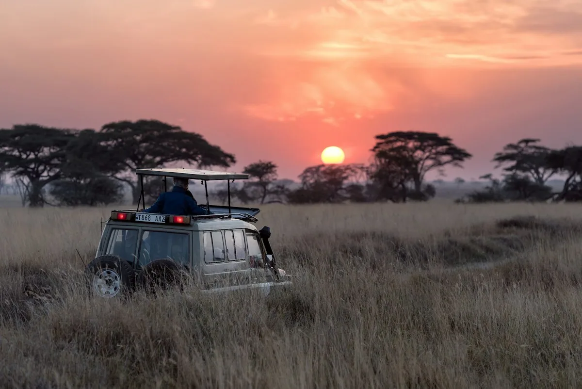 Siluet Jeep Safari dan Wisatawan Menjelajahi Baluran saat Senja